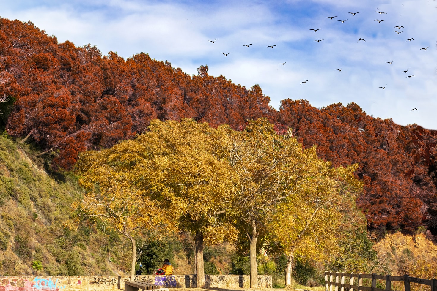 Top hiking places near Barcelona